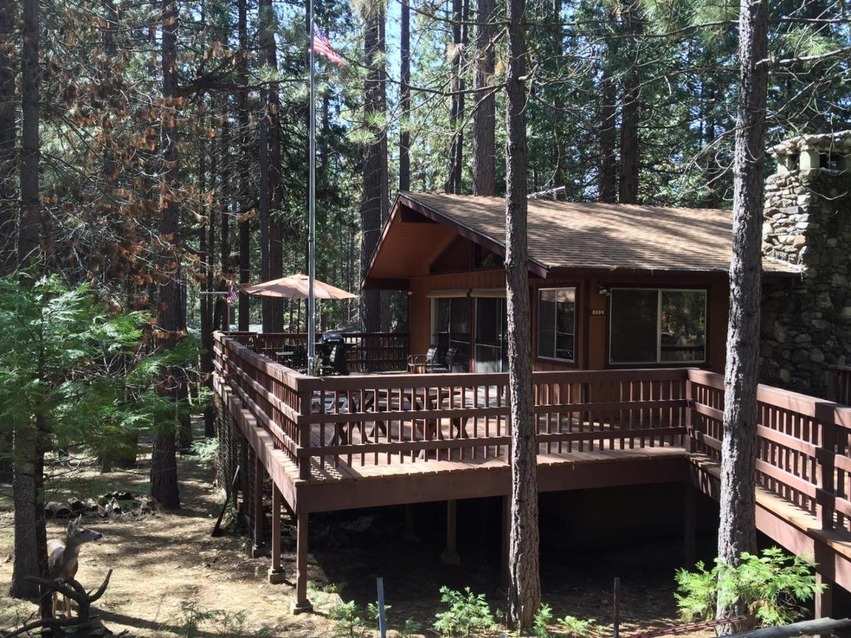 Papa Bear Cabin North Wawona 외부 사진